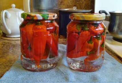 Маринованные острые перцы: уютный зимний деликатес для шашлыков