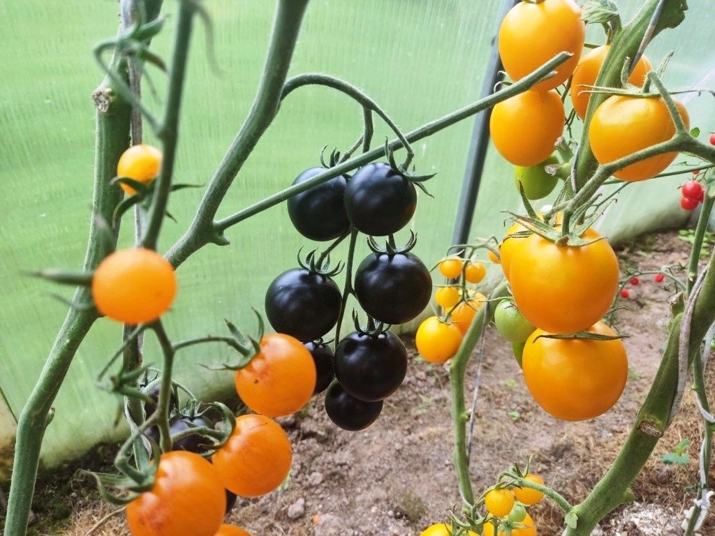 ��� ���������� 64 ����� ��������� � ����� �������?