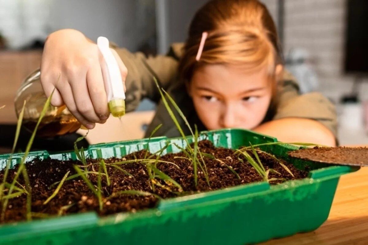 ������������ ������ ��� ������ �����������: ��� ����� ��������� ����