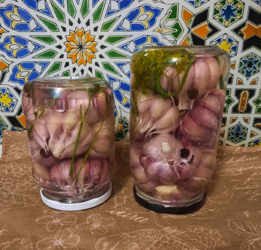 ������������ ������ "������������": ������� � ������� ������