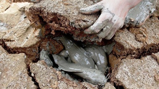 Рыбалка с лопатой: уникальный способ ловли рыбы в Африке