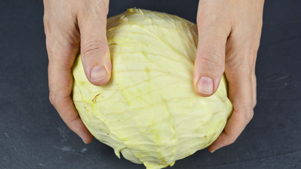 ������ ����� �� �������: ������, ������ � ��������