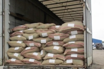 В Калининград поступили 93 тонны зелёного кофе из разных уголков мира