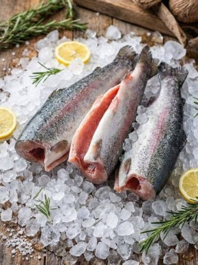 Наслаждение вкусом: свежая форель с Мурманска по доступной цене