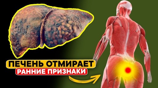 Как распознать проблемы с печенью: 5 ключевых признаков