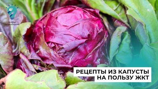 Капуста как суперфуд: в поисках идеального рецепта для здоровья ЖКТ