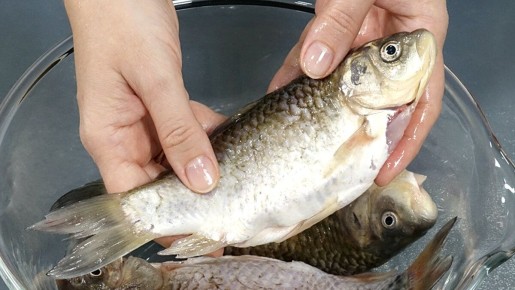 Бюджетное изысканное блюдо: караси на праздничный стол