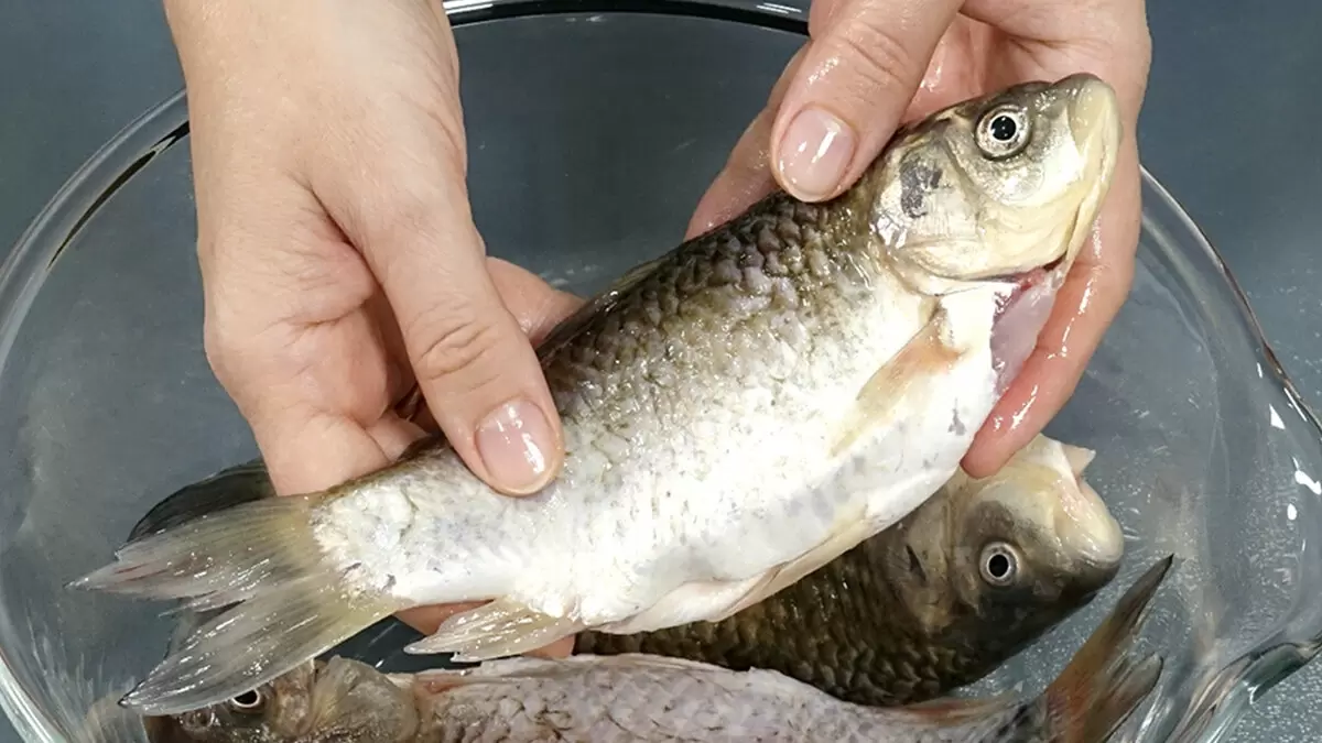Бюджетное изысканное блюдо: караси на праздничный стол