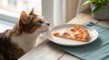 Почему стоит избегать делиться пиццей с вашей кошкой: шокирующие факты