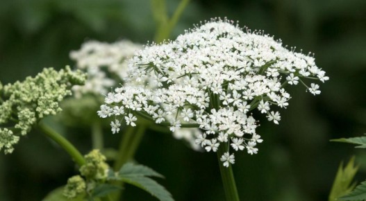 �����: �������� ������, ������� ����� � ������������� �������� � ������