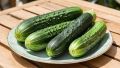 Летние просторы: Необычные рецепты с огурцами для вашего стола
