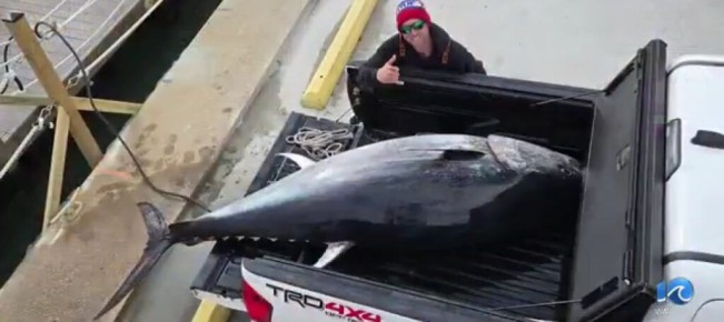 ��������� ���������: ������ ������� ����� ����� ����� 380 �����������