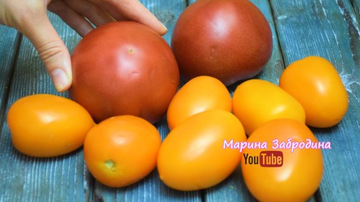 ������� ������������ ��������: ������� ������� ��� ������ �����