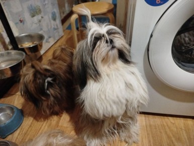 ����� ���� ������� ������: ����� �������� �������� �������