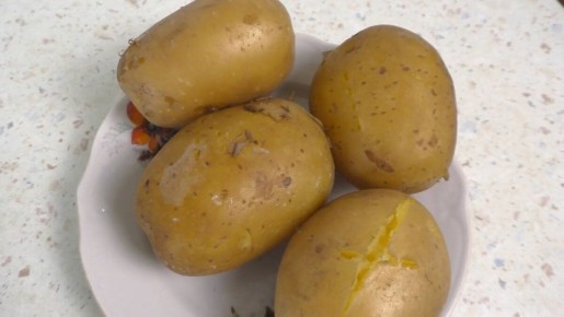 ������ ������ �������� �������� � �����������