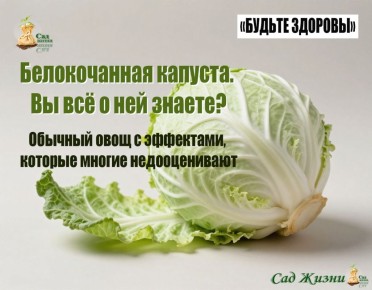 ����� ������������ �������: ��� �������� ���� ��������� ����?