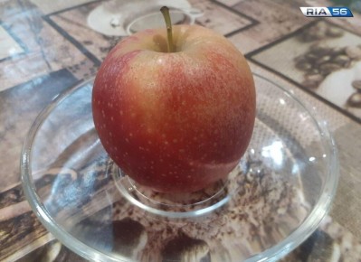 5 ������: ������������� ������������ ���� � ��� ��������