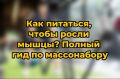 ������� ��� ����� ����: ������������ � ����