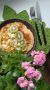 ��������� ������� � �������� ���